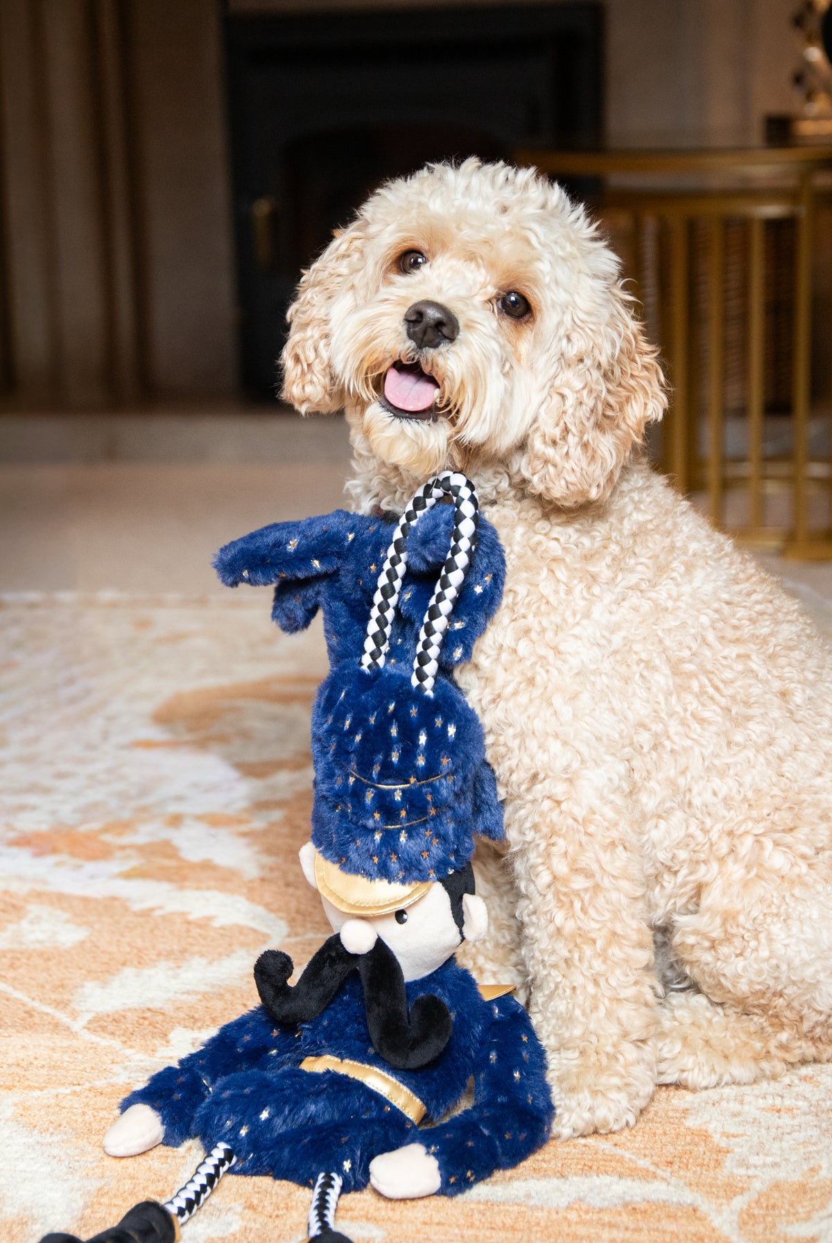Nermal Nutcracker Dog Toy