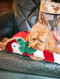 Clark Candy Cane Dog Toy