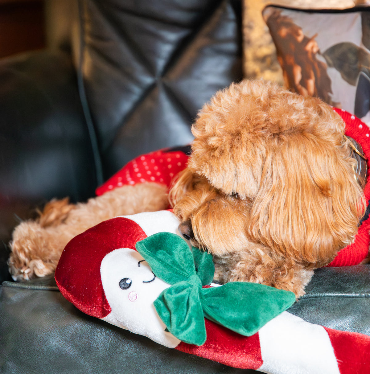 Clark Candy Cane Dog Toy