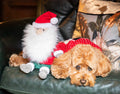 Sebastian Santa Dog Toy