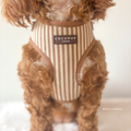 London Linen Stripes Adjustable Neck dog harness