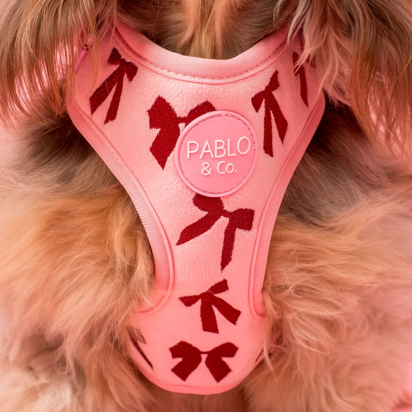 Velvet Blush Bows adjustable dog harness