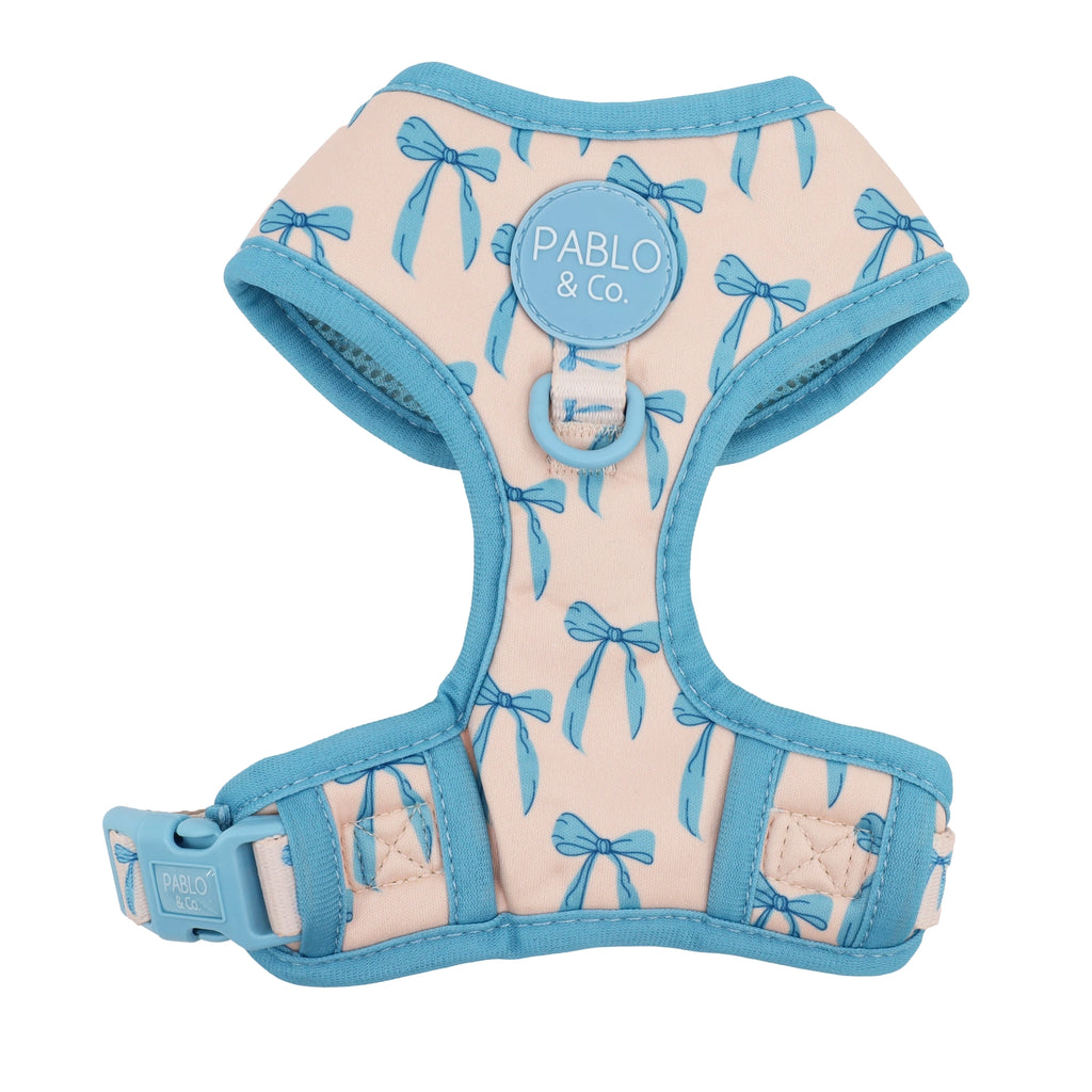 Baby blue bows harness