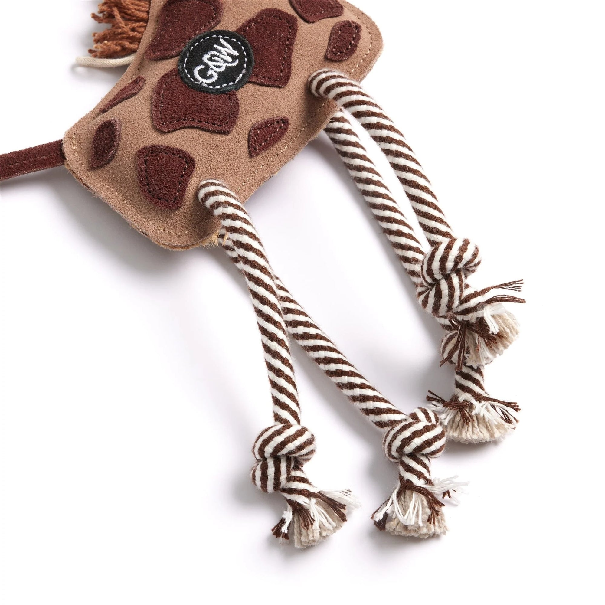 Gerald the Giraffe