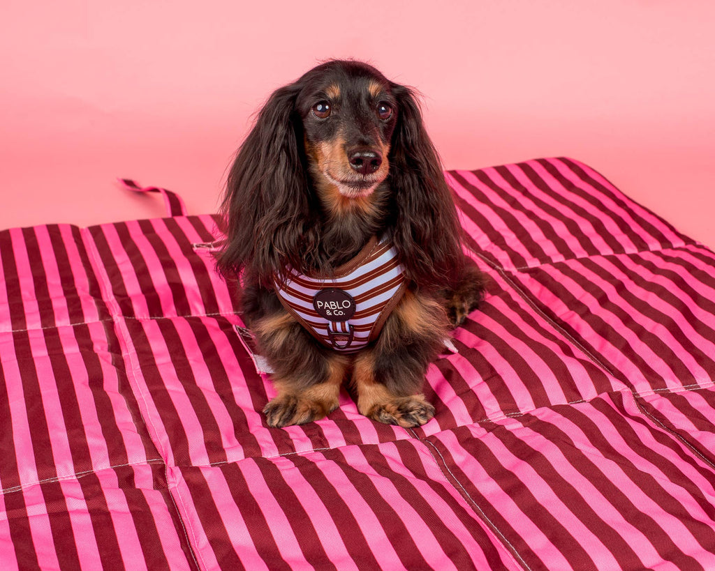 Deluxe Travel Mat: Blushing Stripes & Sunday Stripes