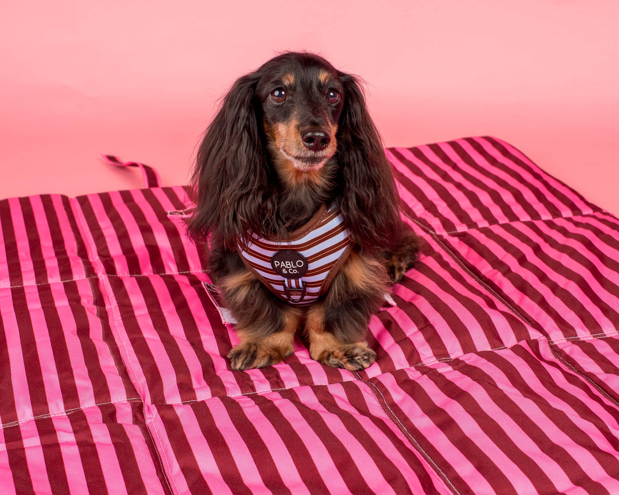 Deluxe Travel Mat: Blushing Stripes & Sunday Stripes