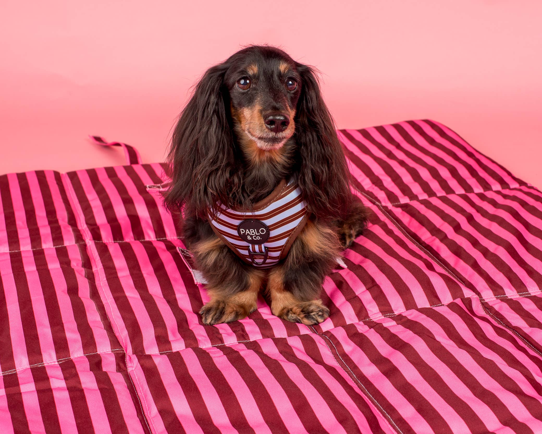 Deluxe Travel Mat: Blushing Stripes & Sunday Stripes
