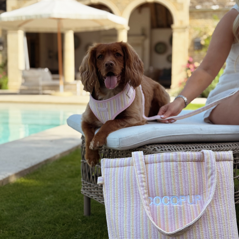 Pastel Stripes Adjustable Neck HARNESS for Dogs