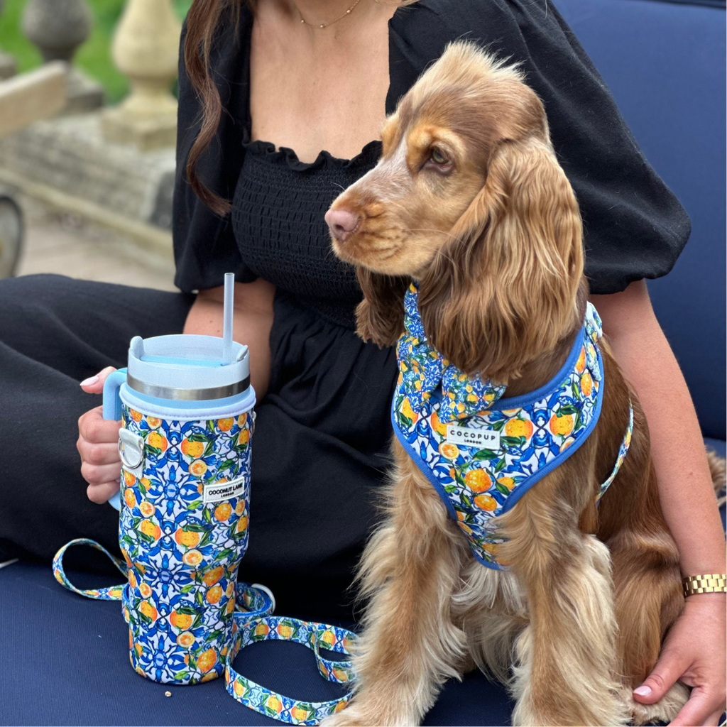 Amalfi Lemon Adjustable Neck HARNESS