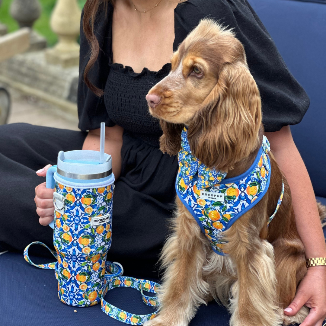 Amalfi Lemon Adjustable Neck HARNESS