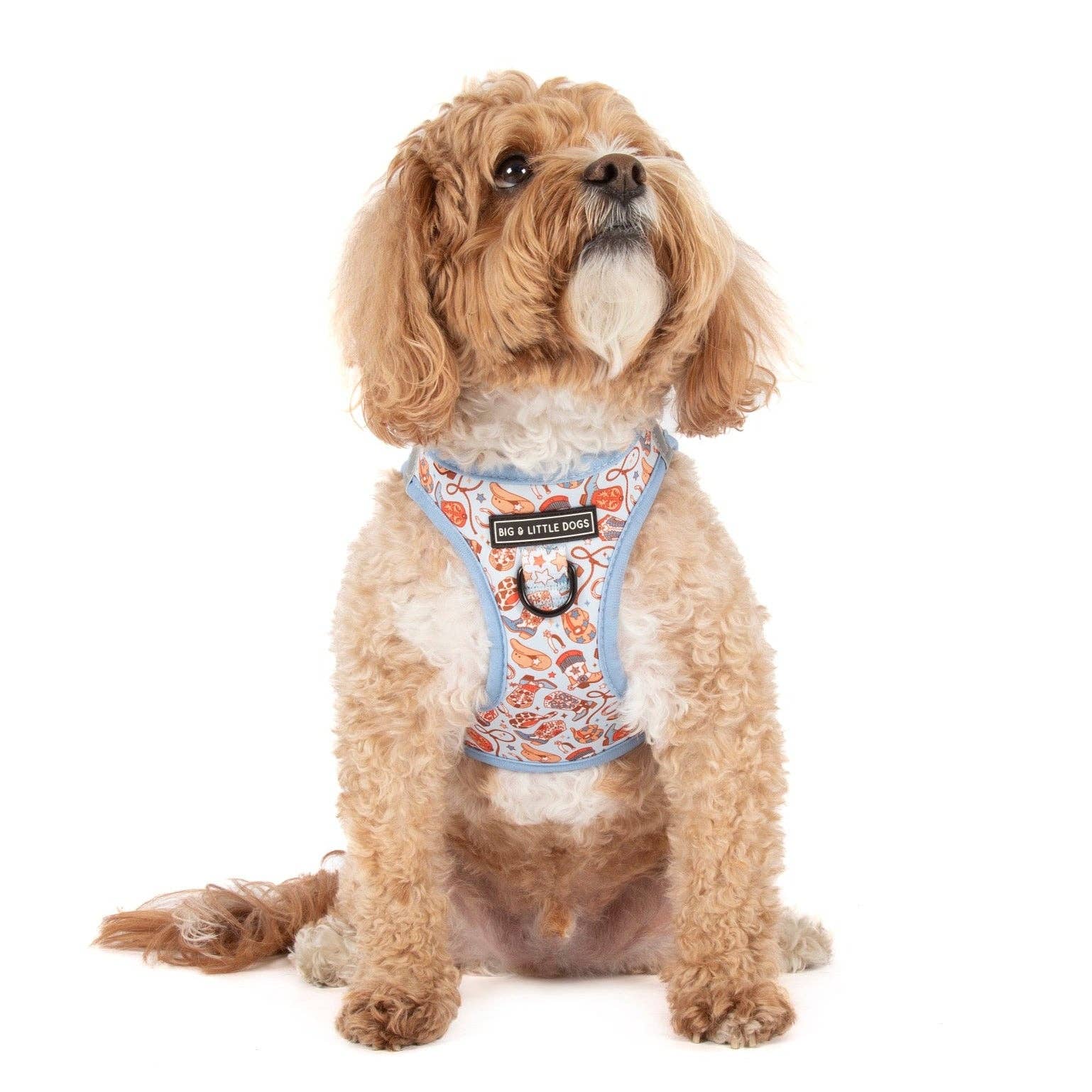 Rodeo King step-in dog harness