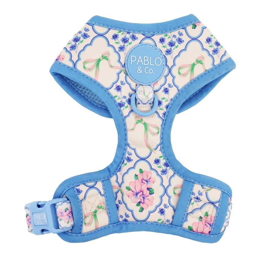 Petal dog harness