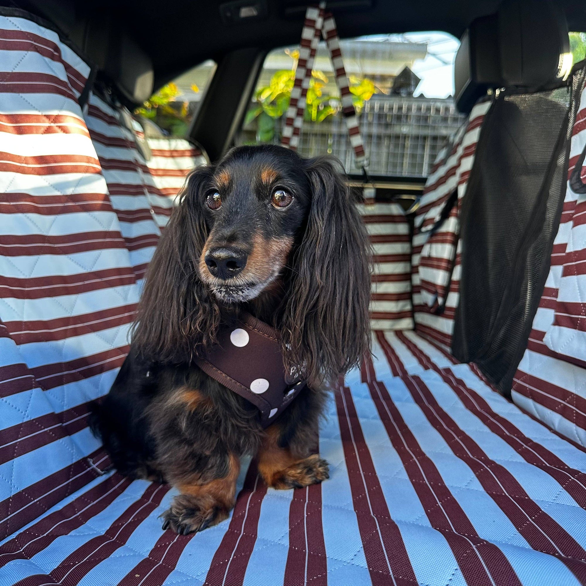 Sunday Stripes: Deluxe Hard Base Hammock Car Seat Cover