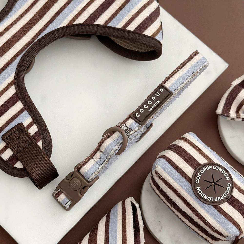 Brown & Blue Stripes Dog COLLAR