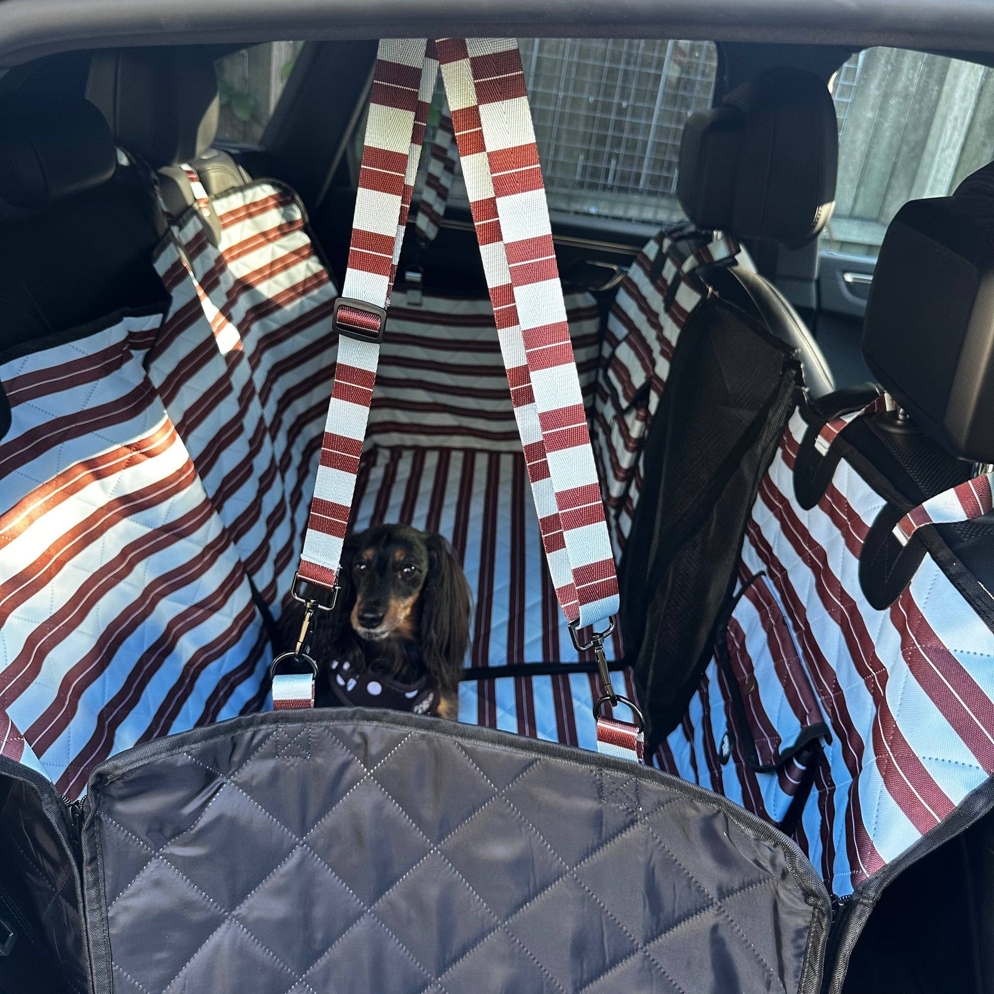Sunday Stripes: Deluxe Hard Base Hammock Car Seat Cover