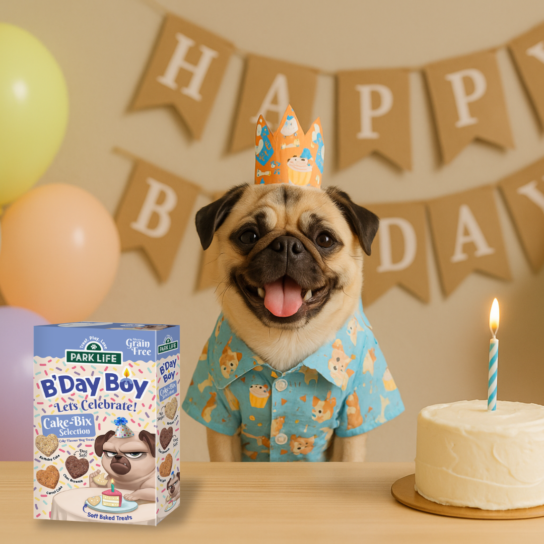 Cake-Bix B'Day Boy Cake Selection 240g