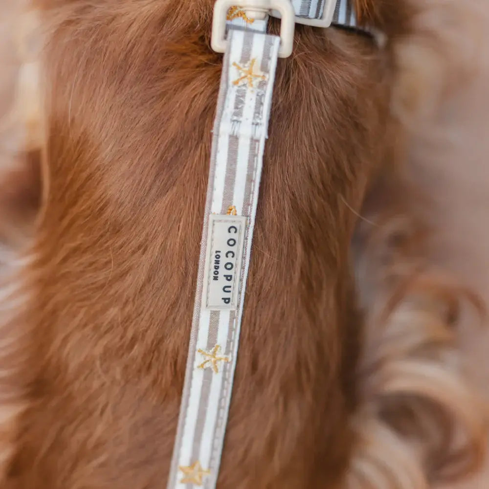 Sandy Starpaws Lead
