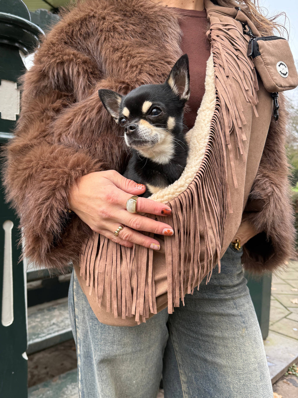 Fringe sling dog carrier bag