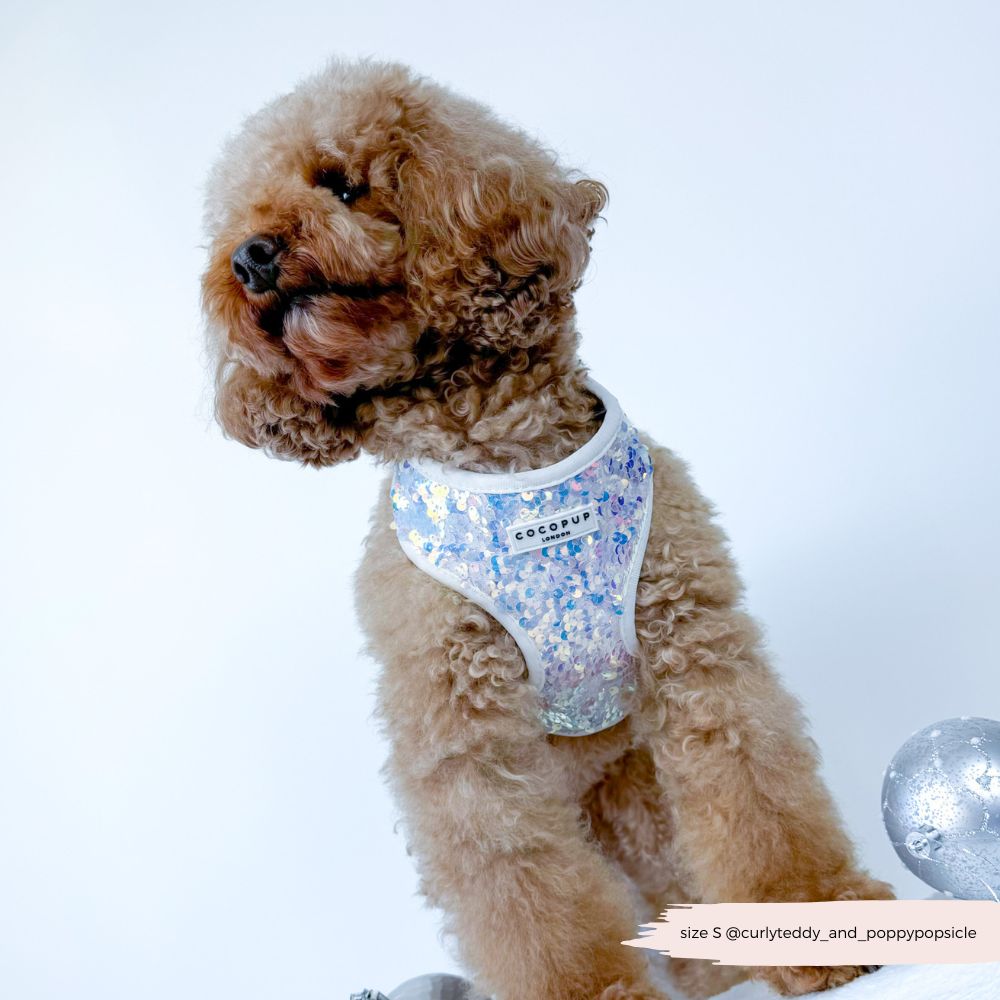 Luxe Party Holographic Sequin Harness