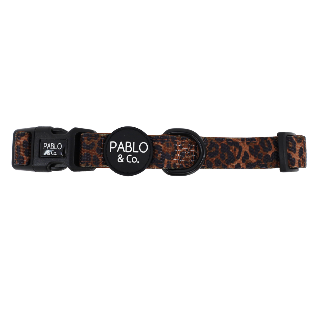 Leopard: Collar