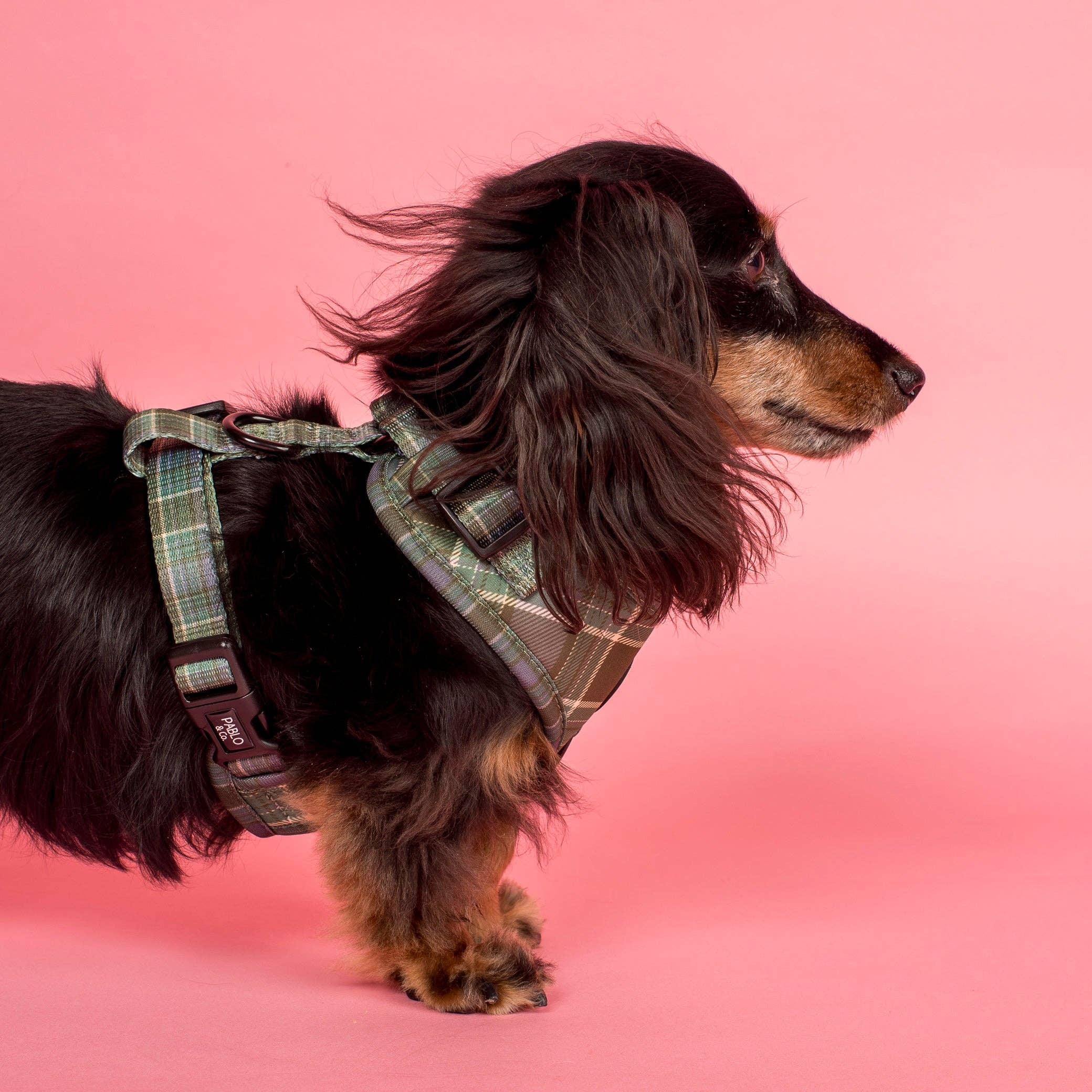 Green Plaid Adjustable Dog Harness