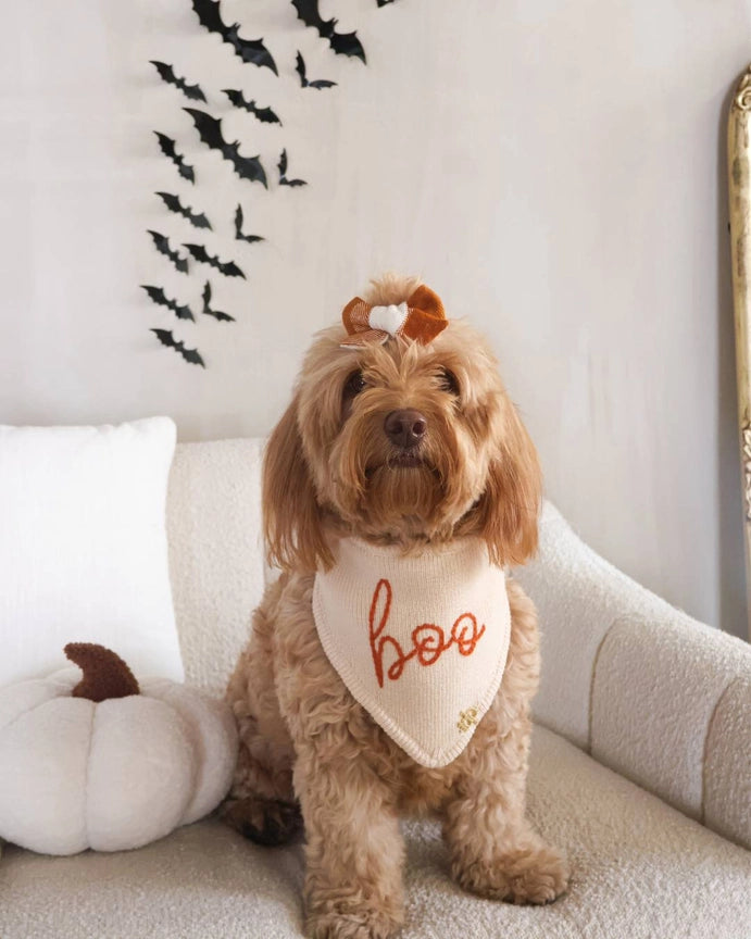Deluxe pup knitted Boo Bandana