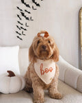 Deluxe pup knitted Boo Bandana