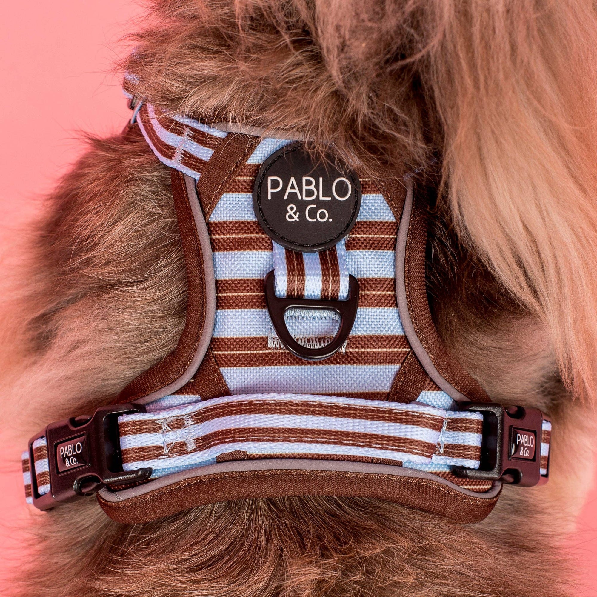 Sunday Stripes: No Pull Adventure Dog Harness