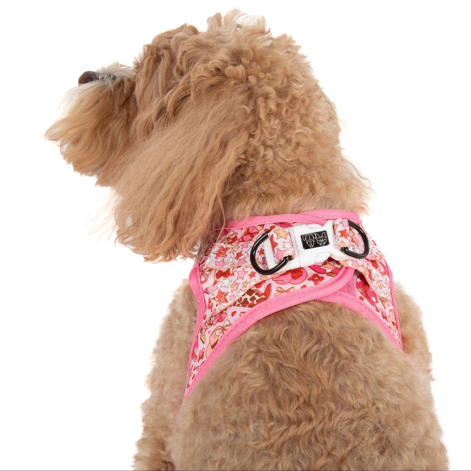 Rodeo Queen step-in dog harness