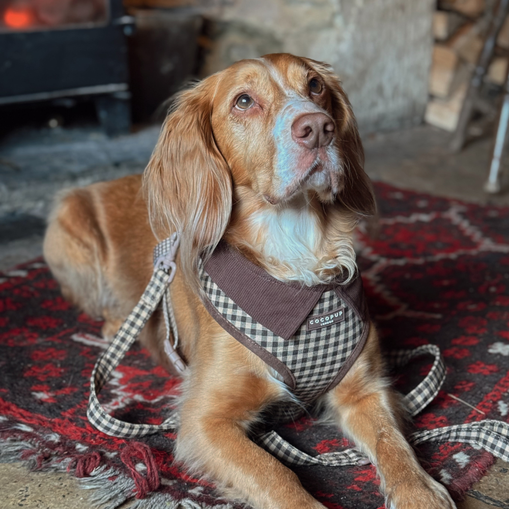 Cotswolds Check Lead