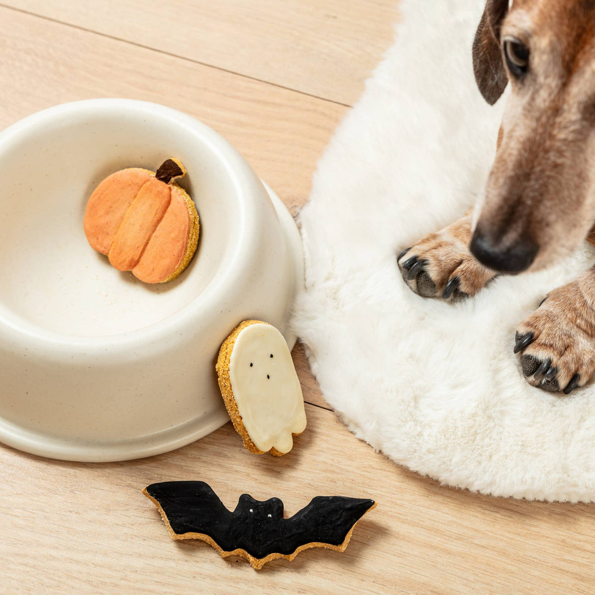 Halloween Iced Dog Biscuit Trio