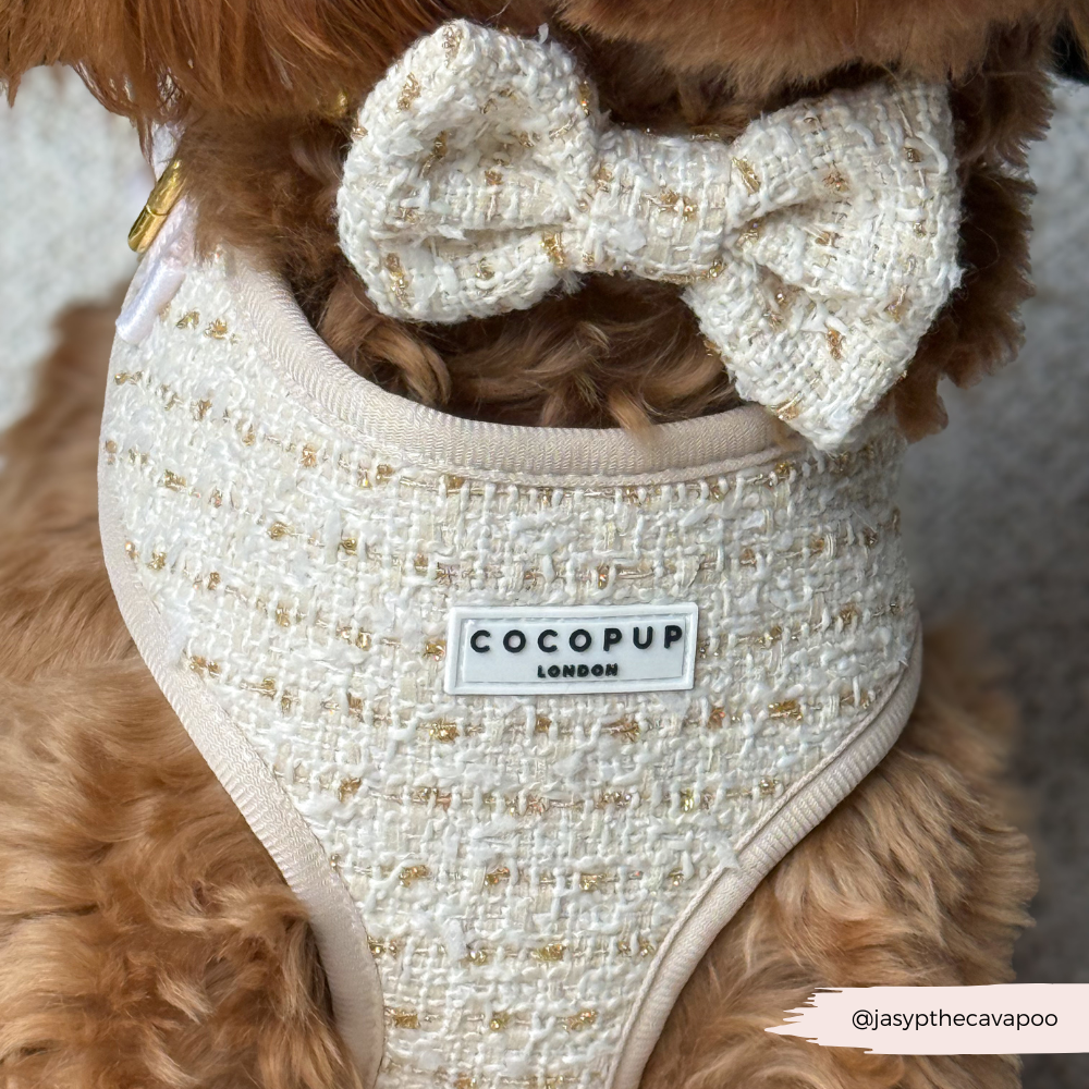 Vanilla Textured Tweed Adjustable Neck HARNESS