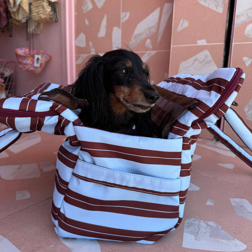 Sunday Stripes: Travel Bag