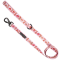 Rodeo Queen dog lead