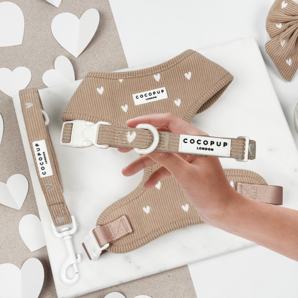 Chai Hearts COLLAR