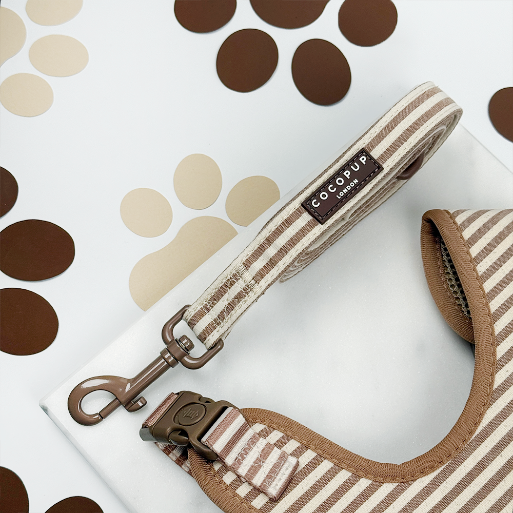 London Linen Stripes Dog Lead