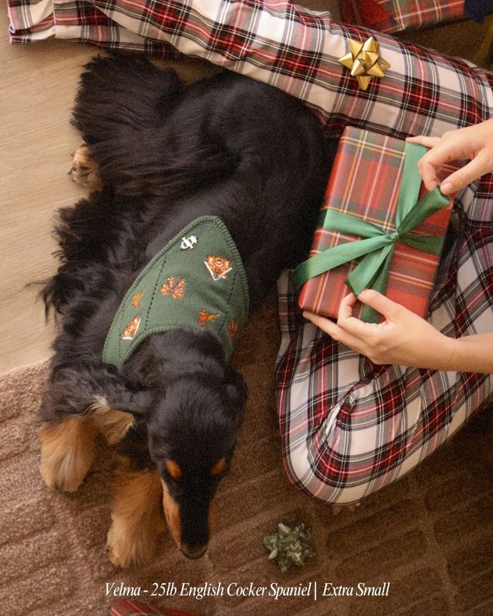 Home For the Holidays bandana