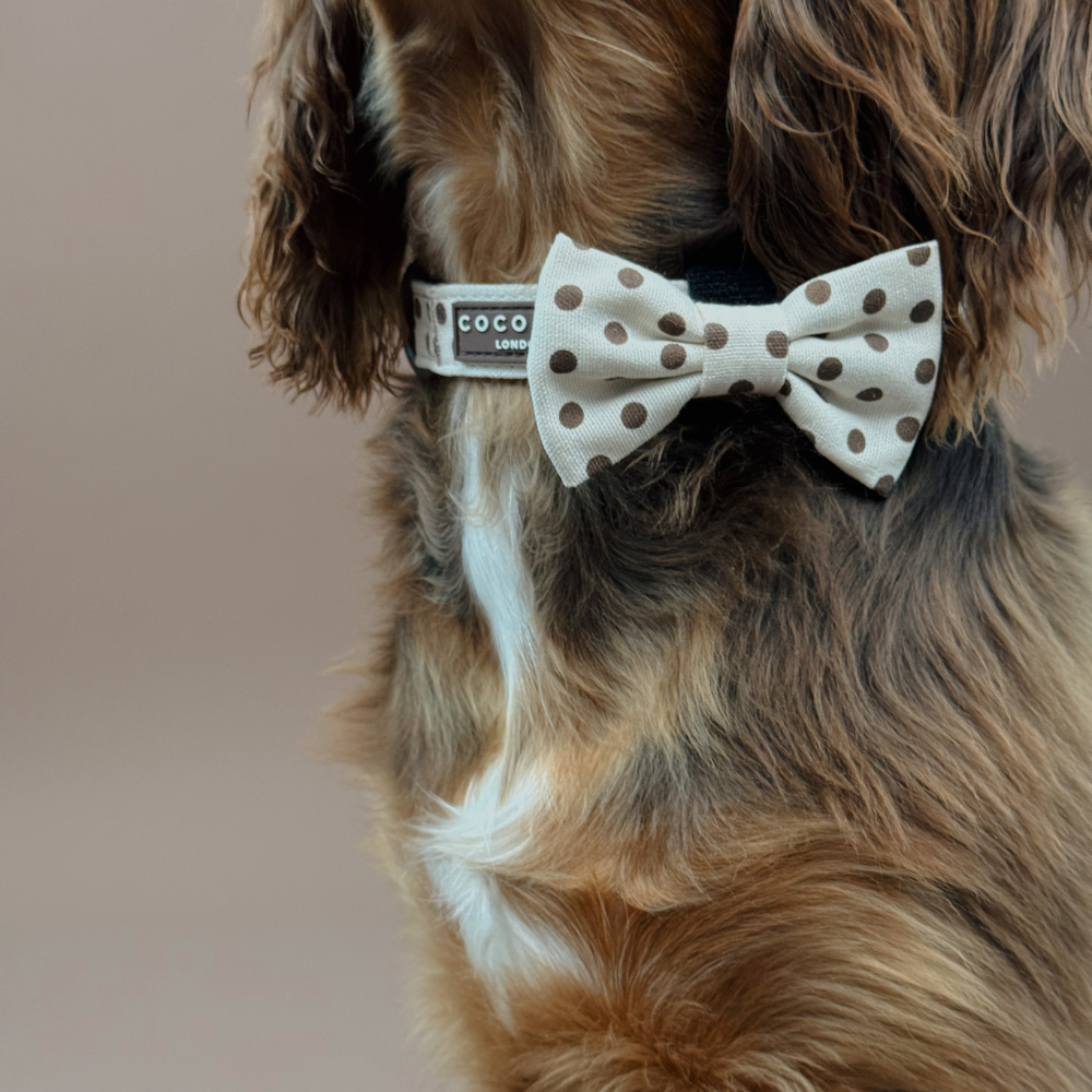 Tiramisu Polka Dot Dog Bow Tie