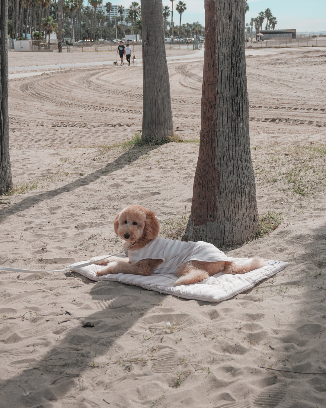 Summer Breeze Cooling Mat