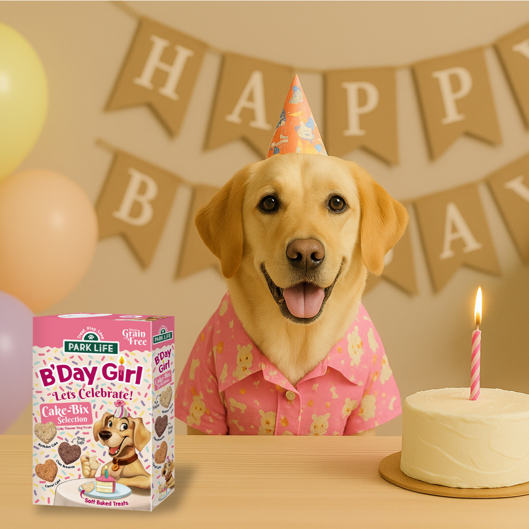 Cake-Bix B'Day Girl Cake Selection 240g