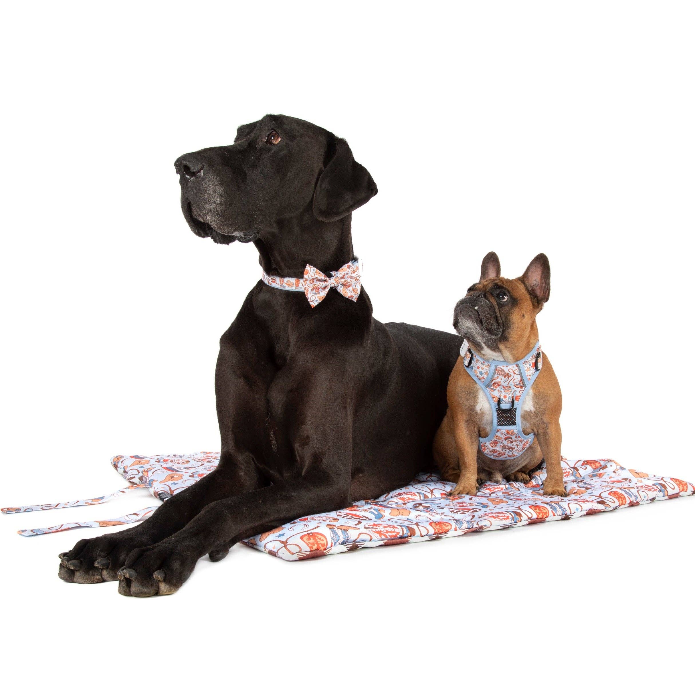 ON-THE-GO PET MAT: Rodeo King