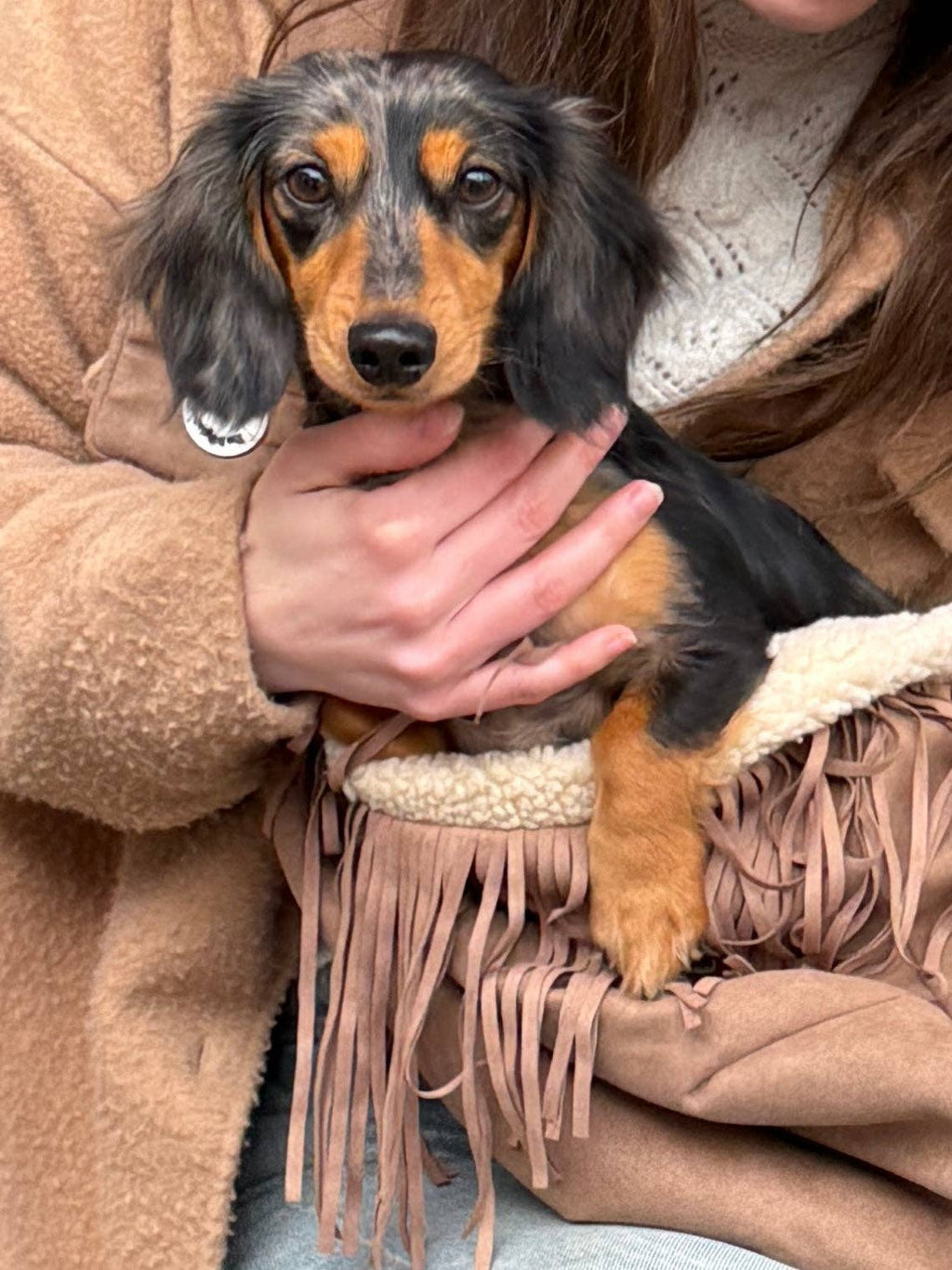 Fringe sling dog carrier bag