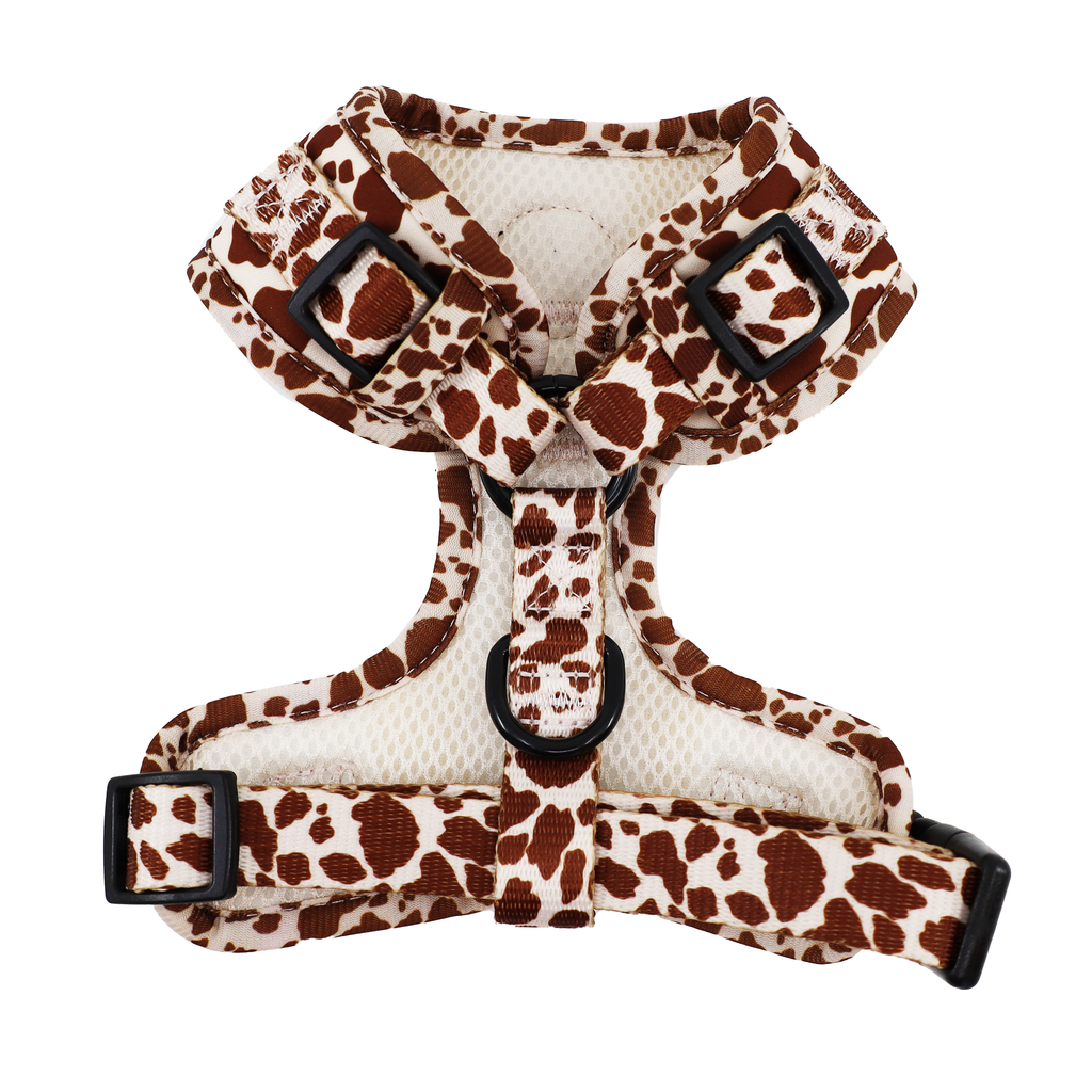 Rodeo Adjustable Dog Harness