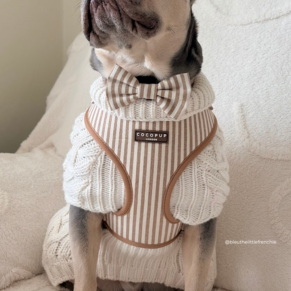 London Linen Stripes Bow Tie