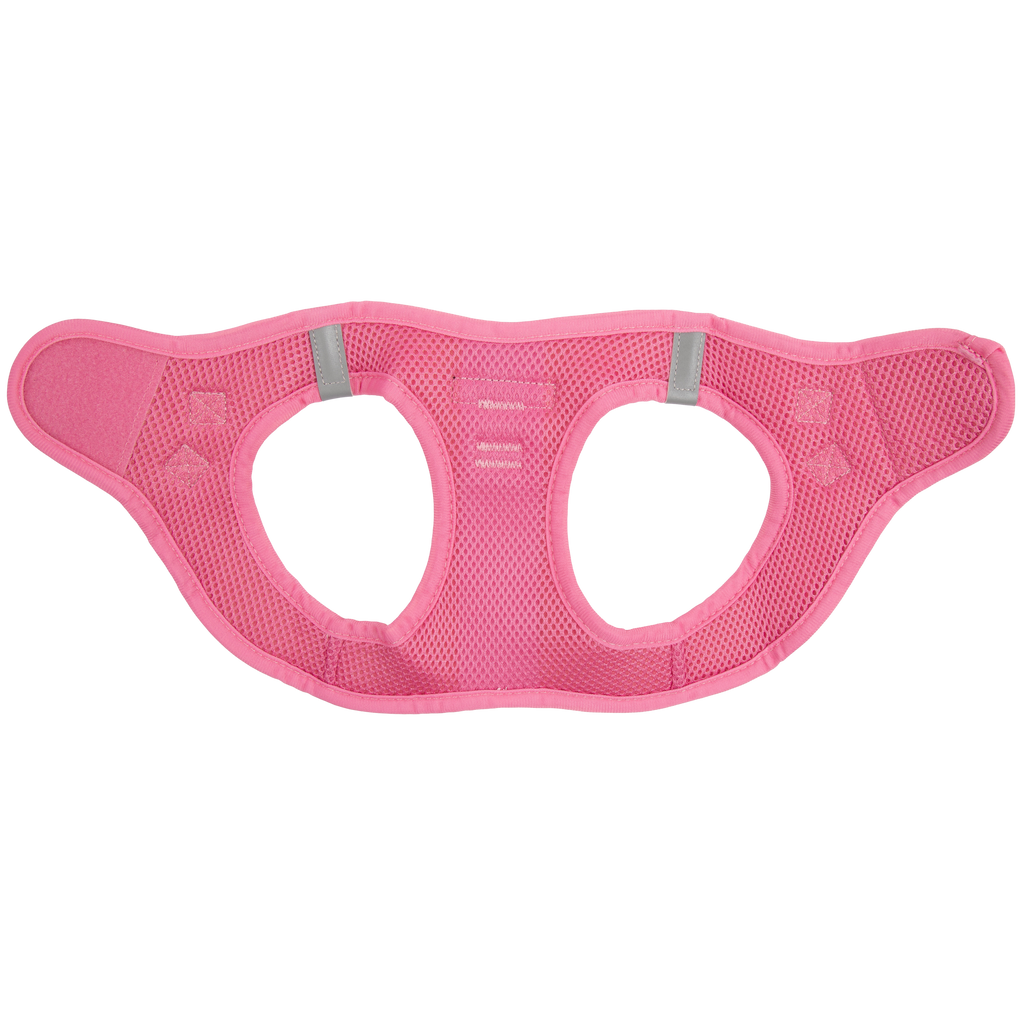 Rodeo Queen step-in dog harness