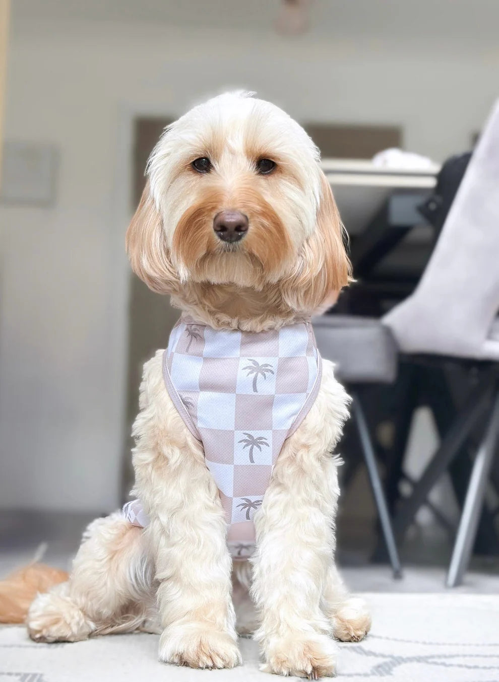 Palm tree cooling vest