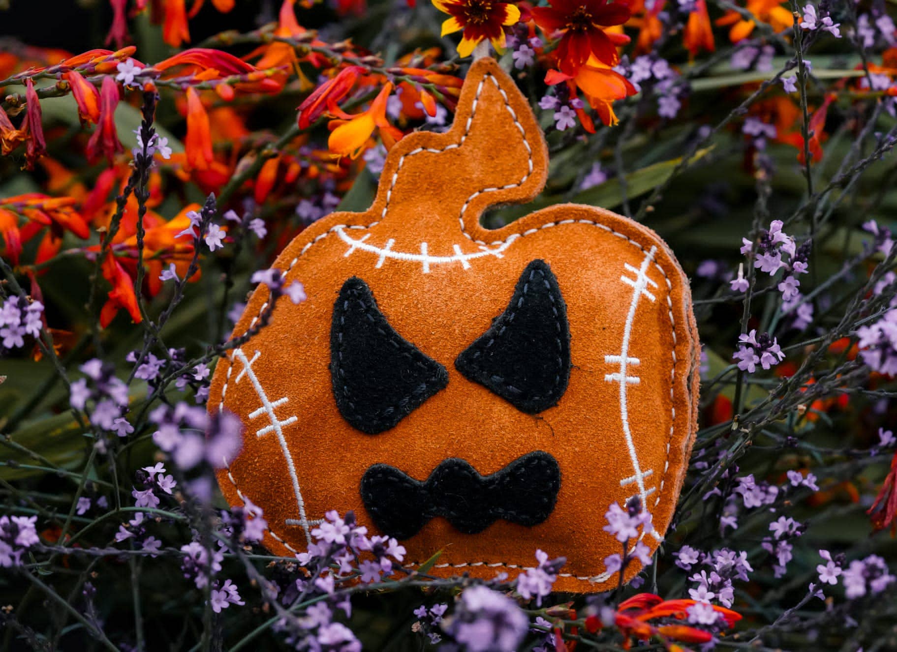 Halloween Jack the Lad Pumpkin small breed Eco Dog Toy