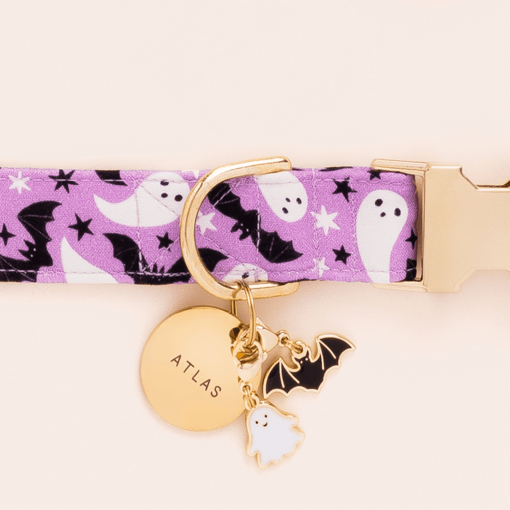 Glow-in-the-Dark Ghost Dog Collar Charm