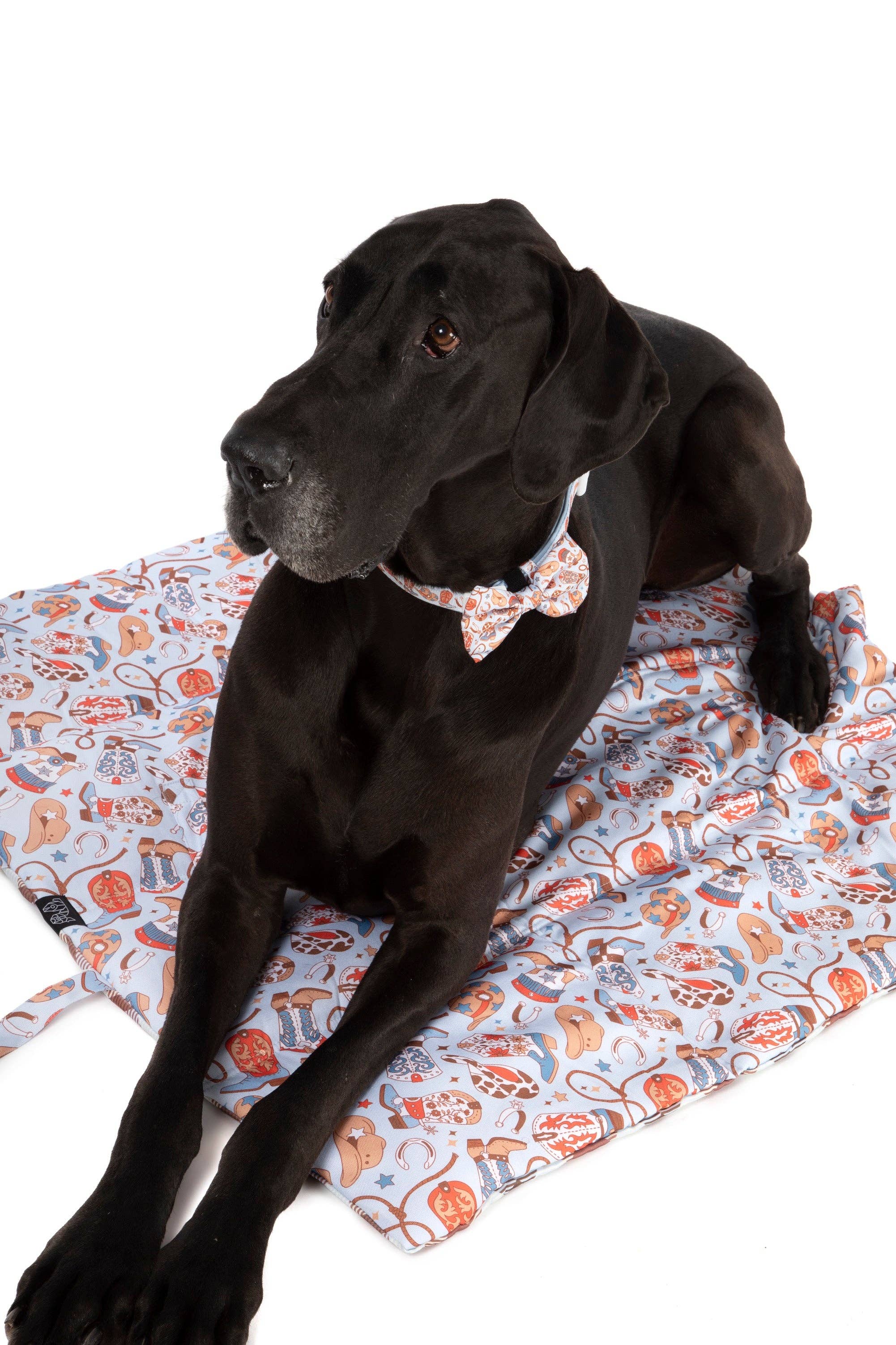 ON-THE-GO PET MAT: Rodeo King