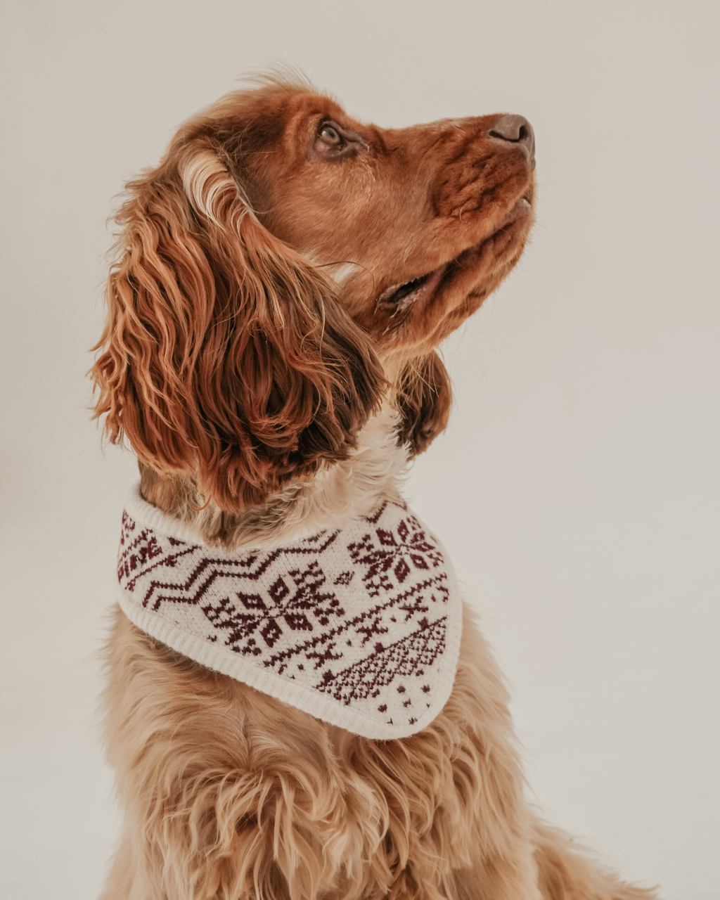Snowberry | Après Ski Knitted Bandana